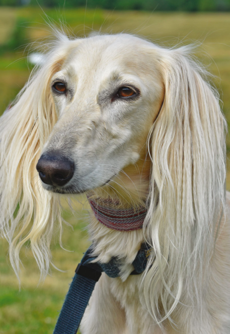 Screen Shot 2019-09-26 at 7.57.06 PM.png