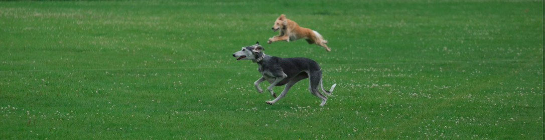 Screen Shot 2019-10-05 at 2.01.25 PM.png