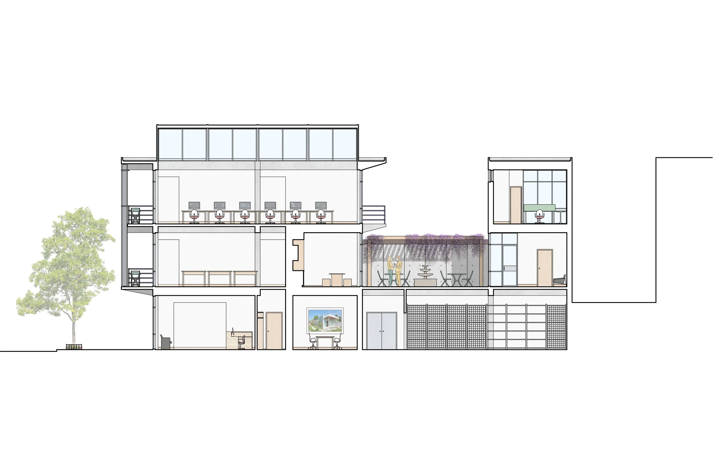 longitudinal section