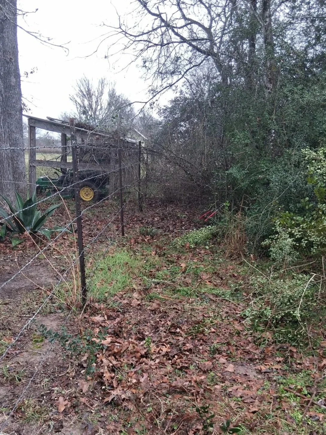 Before - Fence clearing and patch job