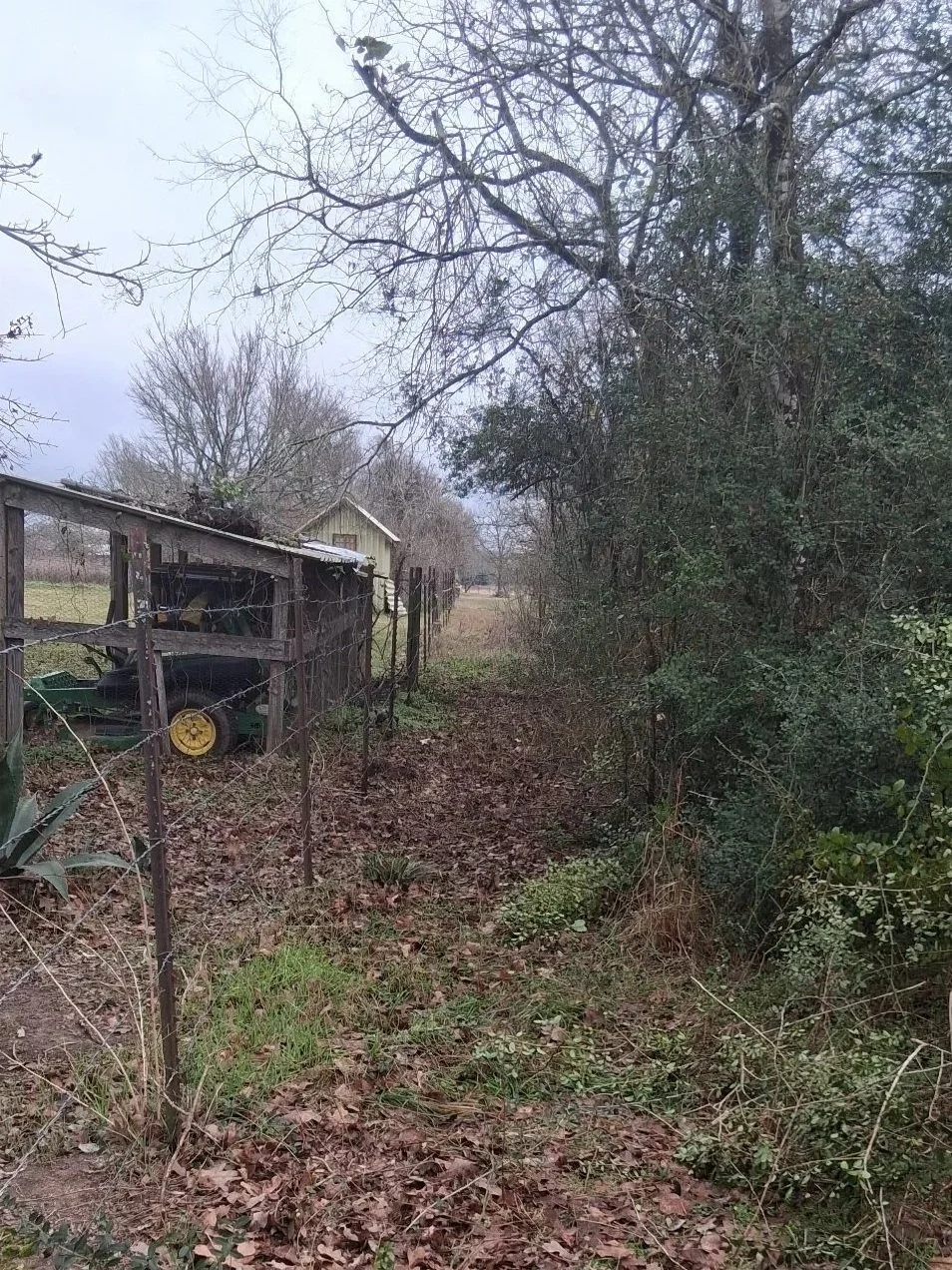 After - Fence clearing and patch job