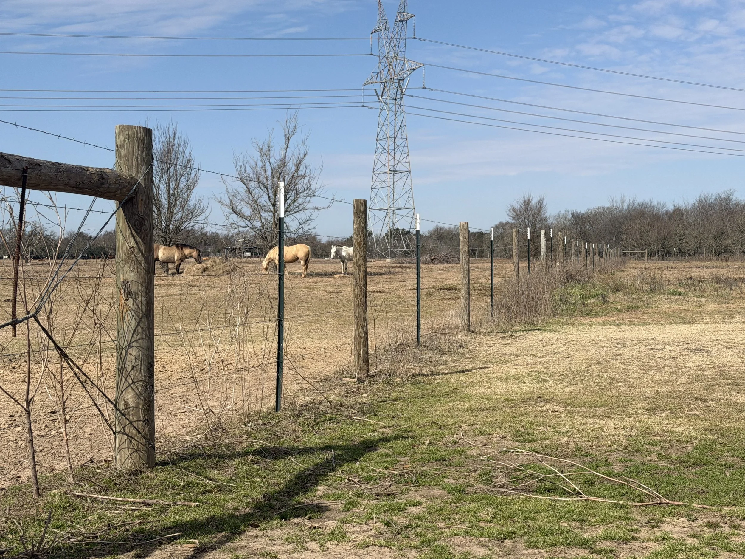 Wood Posts with every being a T post - picture taken 3 years after build.