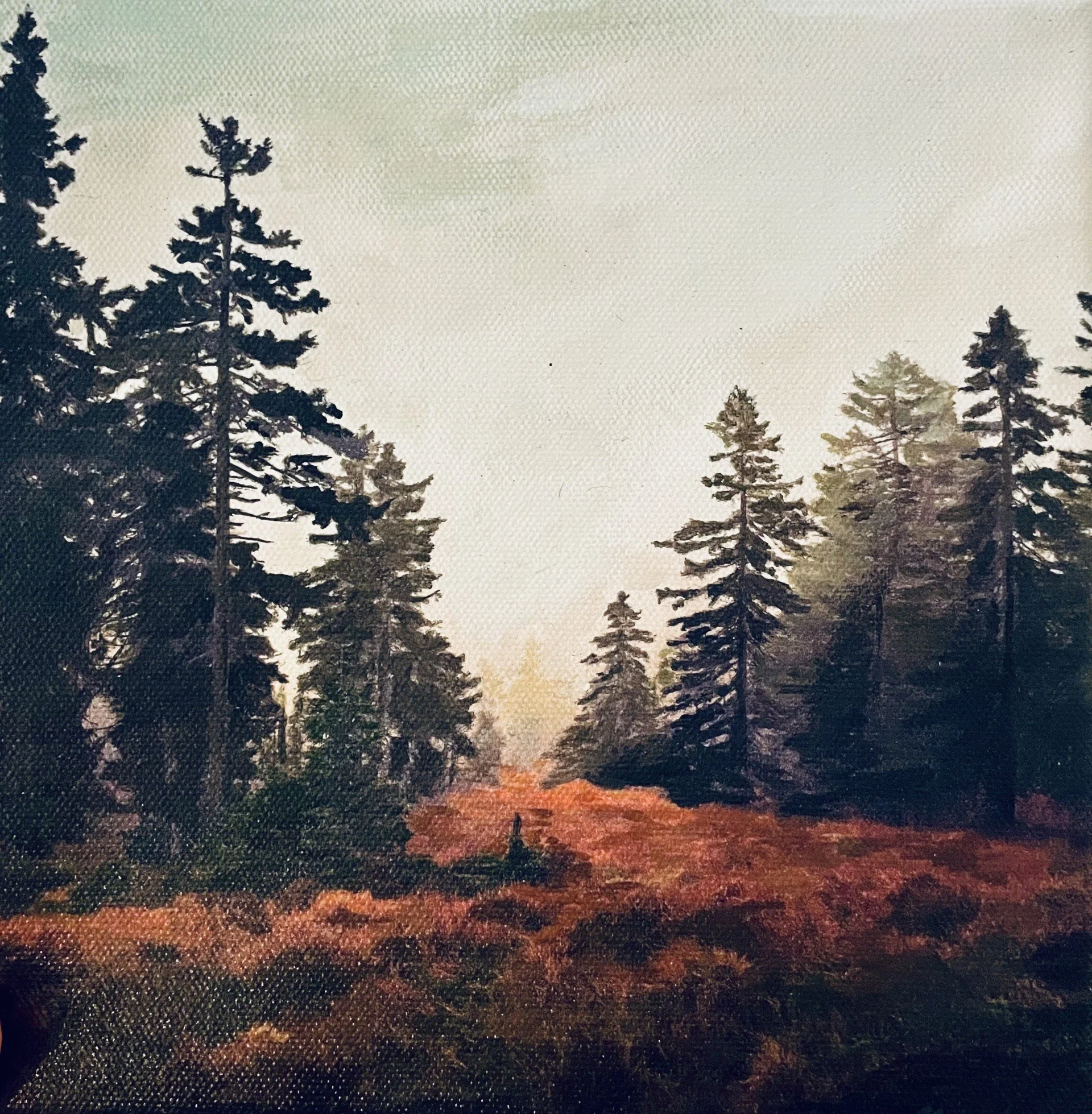 Northeastern Evergreen