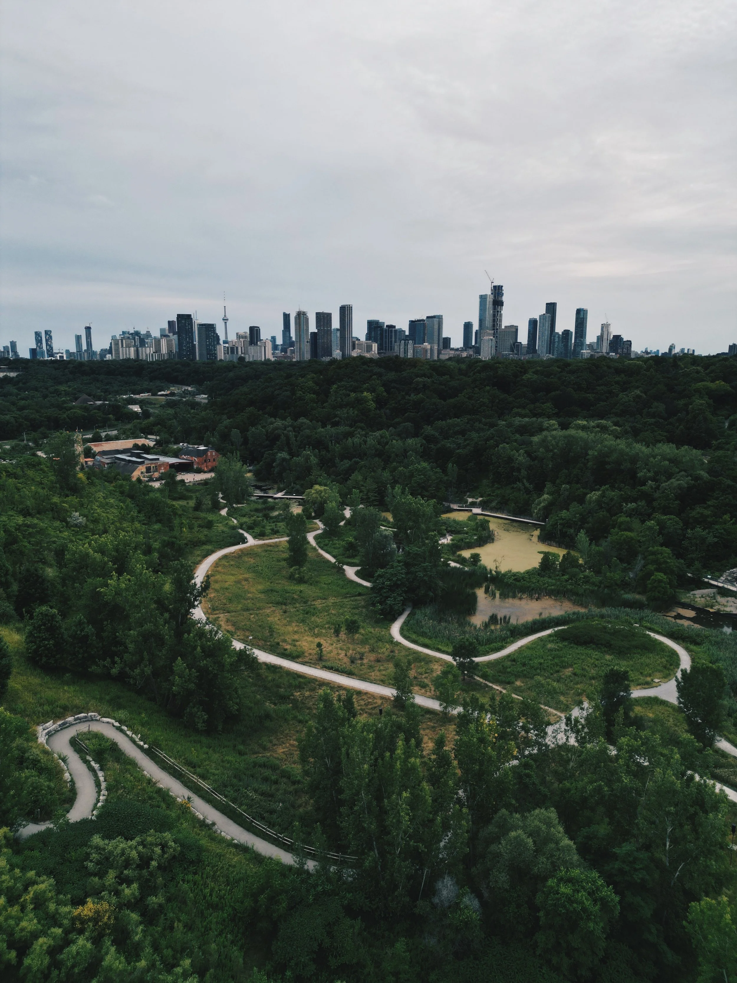 Aerial view of a city skyline with tall buildings in the distance, a large green park with winding paths and trees in the foreground, under an overcast sky.