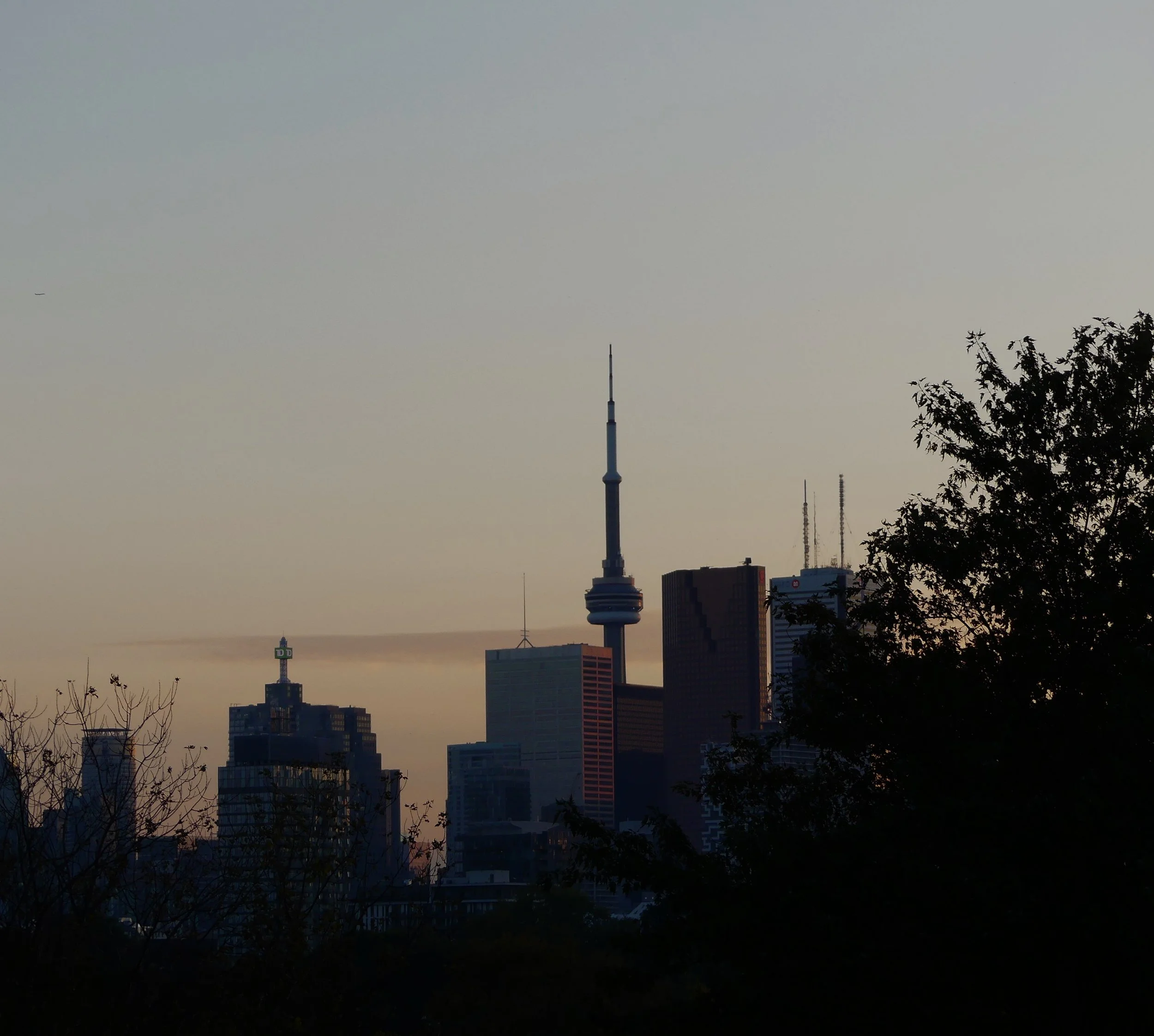 City skyline of Toronto at sunset with the CN Tower in the center and trees silhouetted in the foreground.