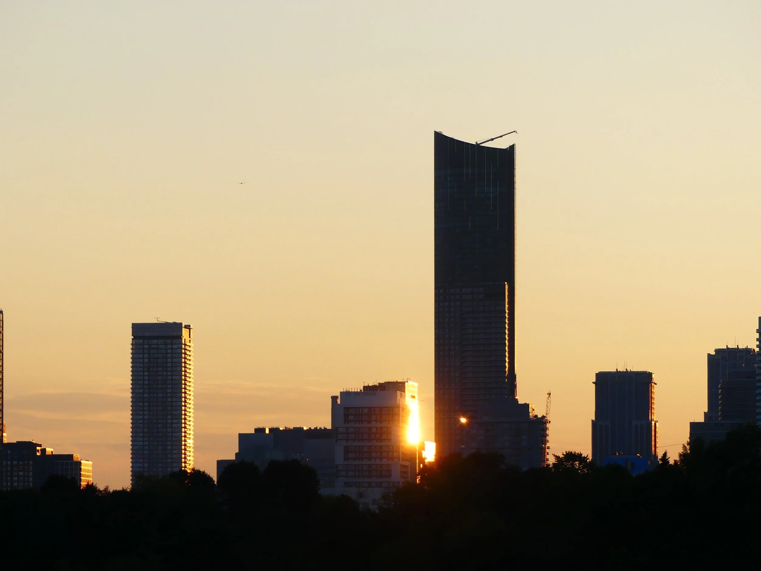 City skyline at sunset with tall modern buildings and trees in the foreground.