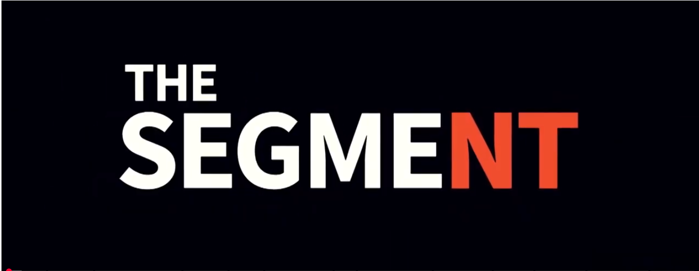The logo reads 'The Segment' with the letters 'N' and 'T' in red color.
