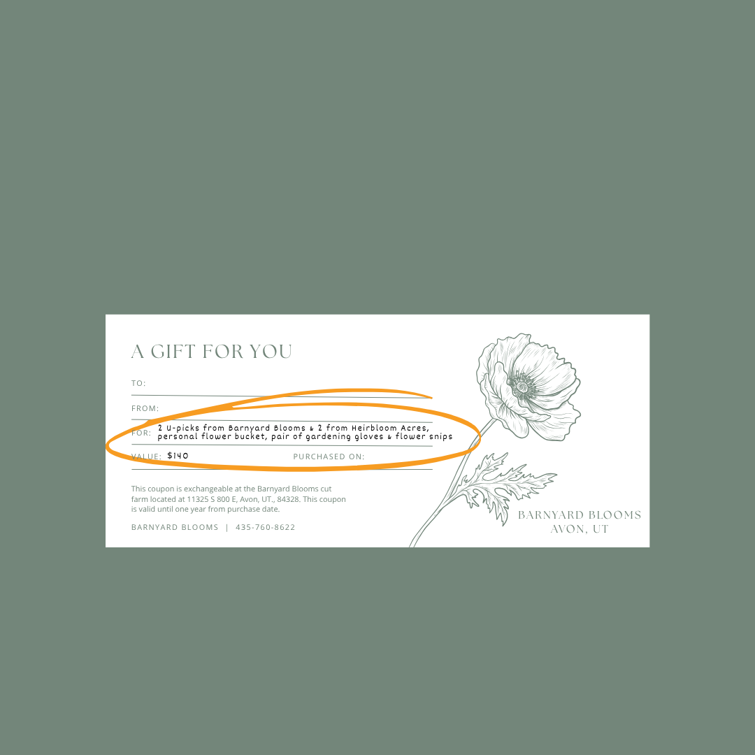 SMALL Gift Certificates Barnyard Blooms (1).png