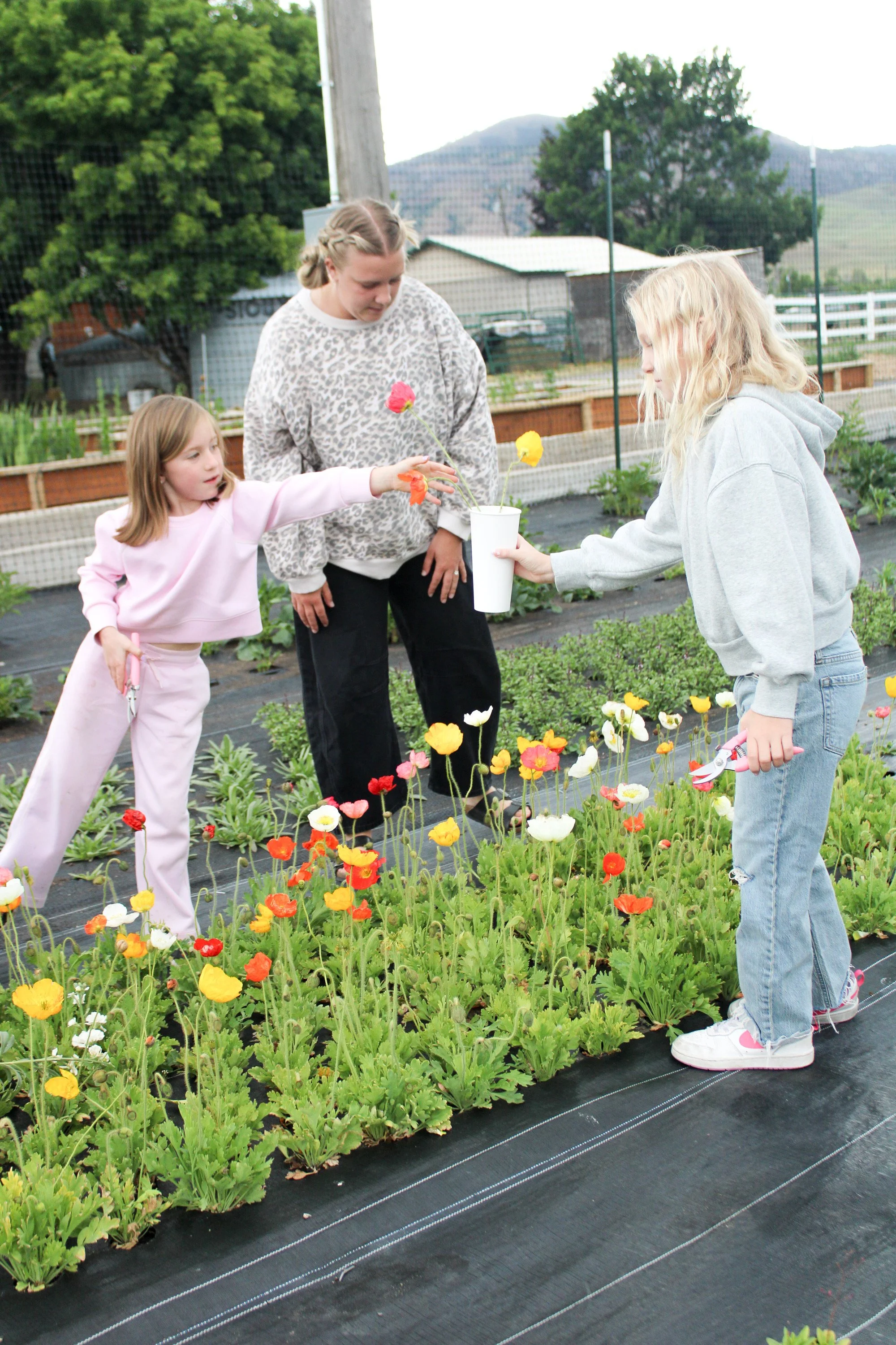 U-Pick Bouquets