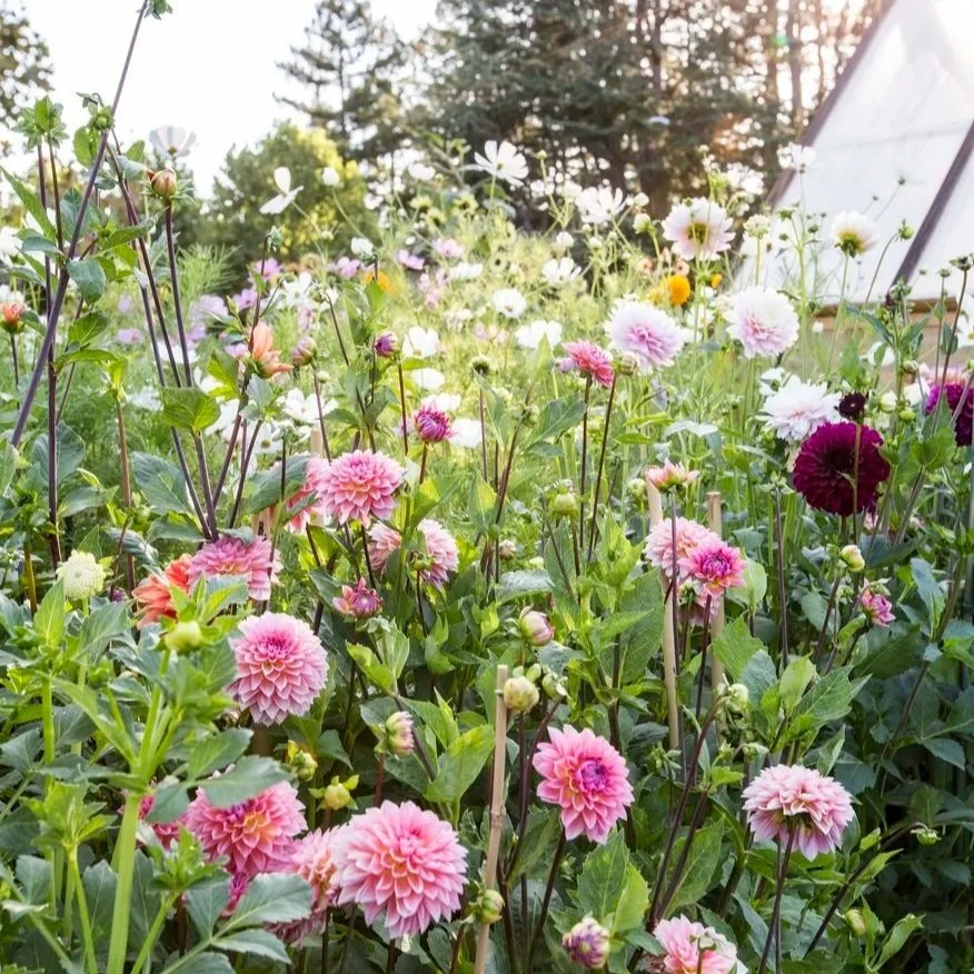 Wedding & Event DIY Florals