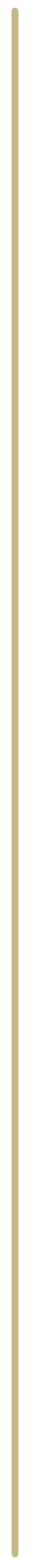 A divider line
