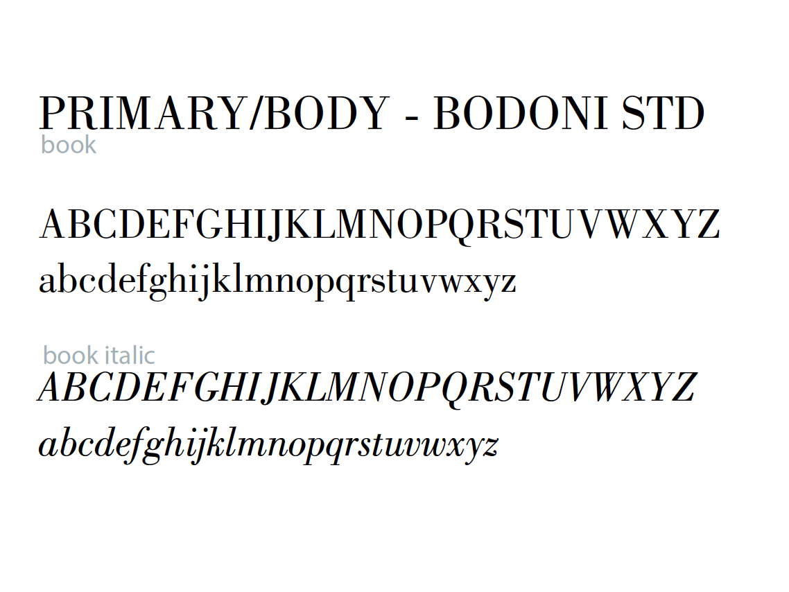 Screenshot 2026-02-07 at 12.55.38 PM.png