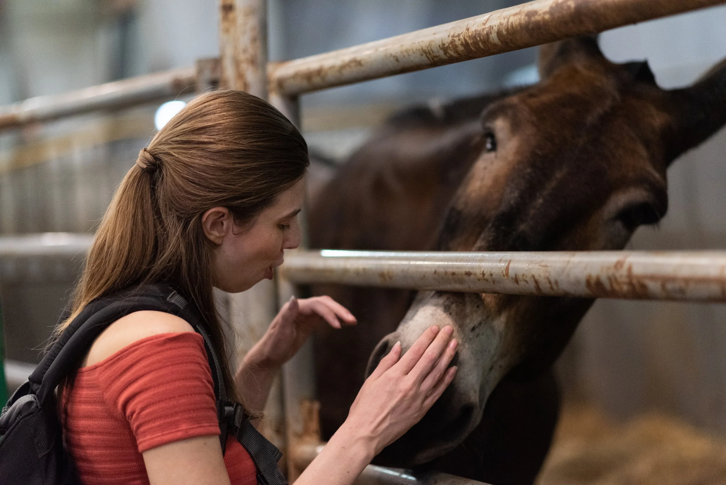 Photo by Abe Munguía