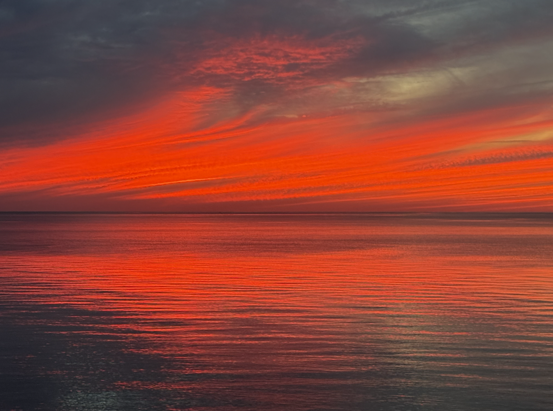 Screenshot 2026-02-04 at 3.17.33 PM.png