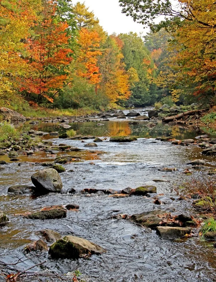 Scenic view of Lisbon Falls Maine landscape and river
