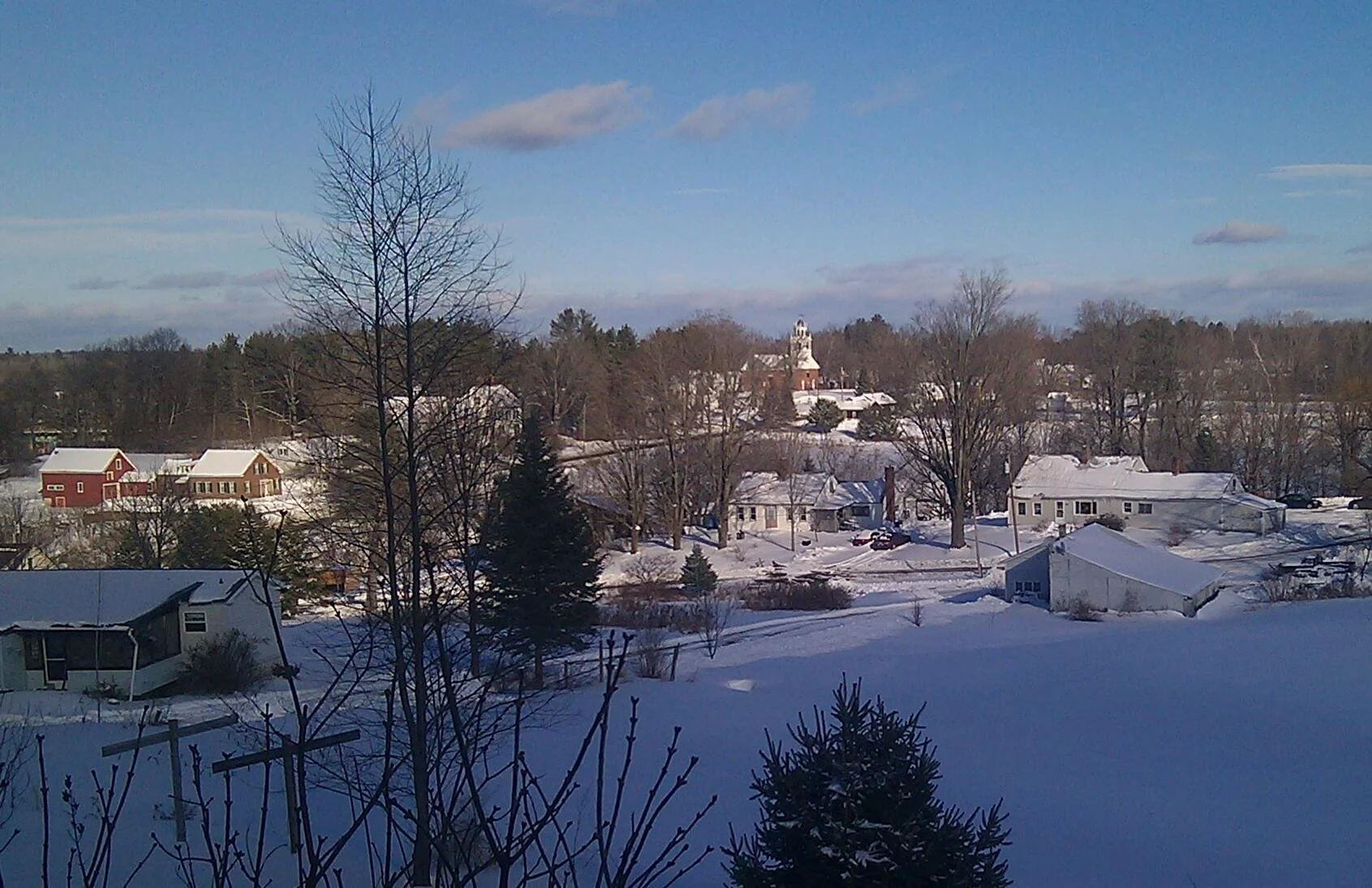 pest-control-new-sharon-maine