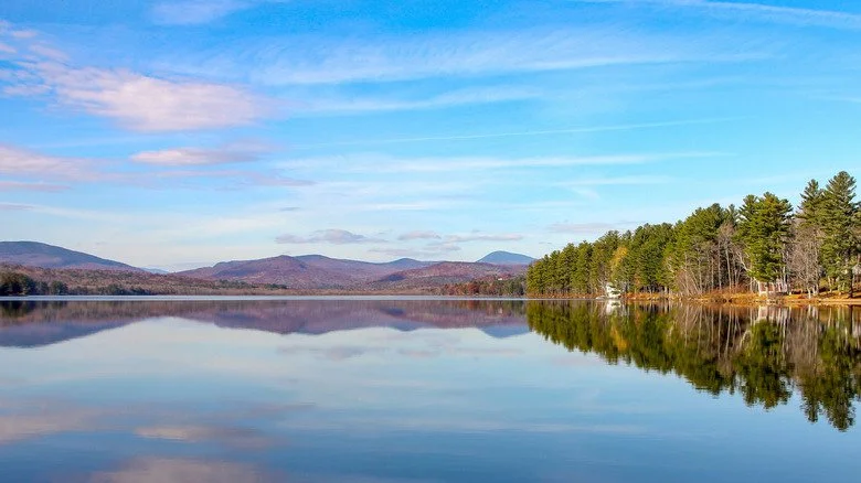 Pest control services in Chesterville Maine