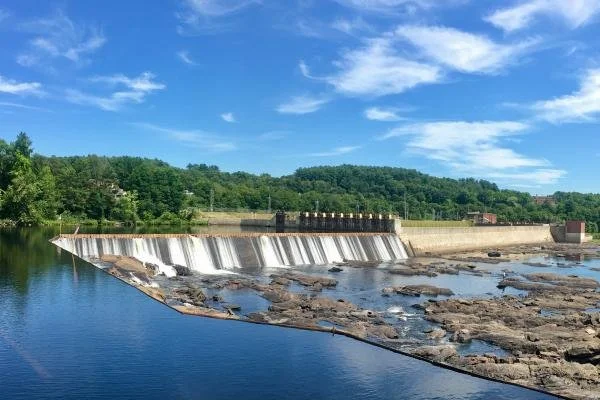 Pest control services in Jay Maine