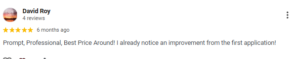 Customer review for David Roy, five-star rating, mentioning promptness, professionalism, good price, and improvement from previous service.