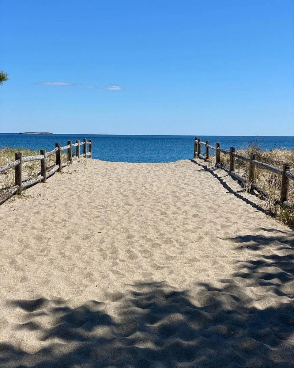 Blouin Pest Services providing pest control in Saco, Maine