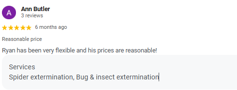 Screenshot of an online review by Ann Butler praising Ryan for flexible service and reasonable prices, listing services like spider extermination, bug, and insect extermination.