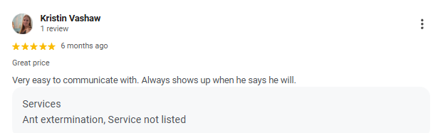 Screenshot of a Yelp review by Kristin Vashaw, five stars, commenting on a service for ant extermination, mentioning it's easy to communicate with and shows up when promised.