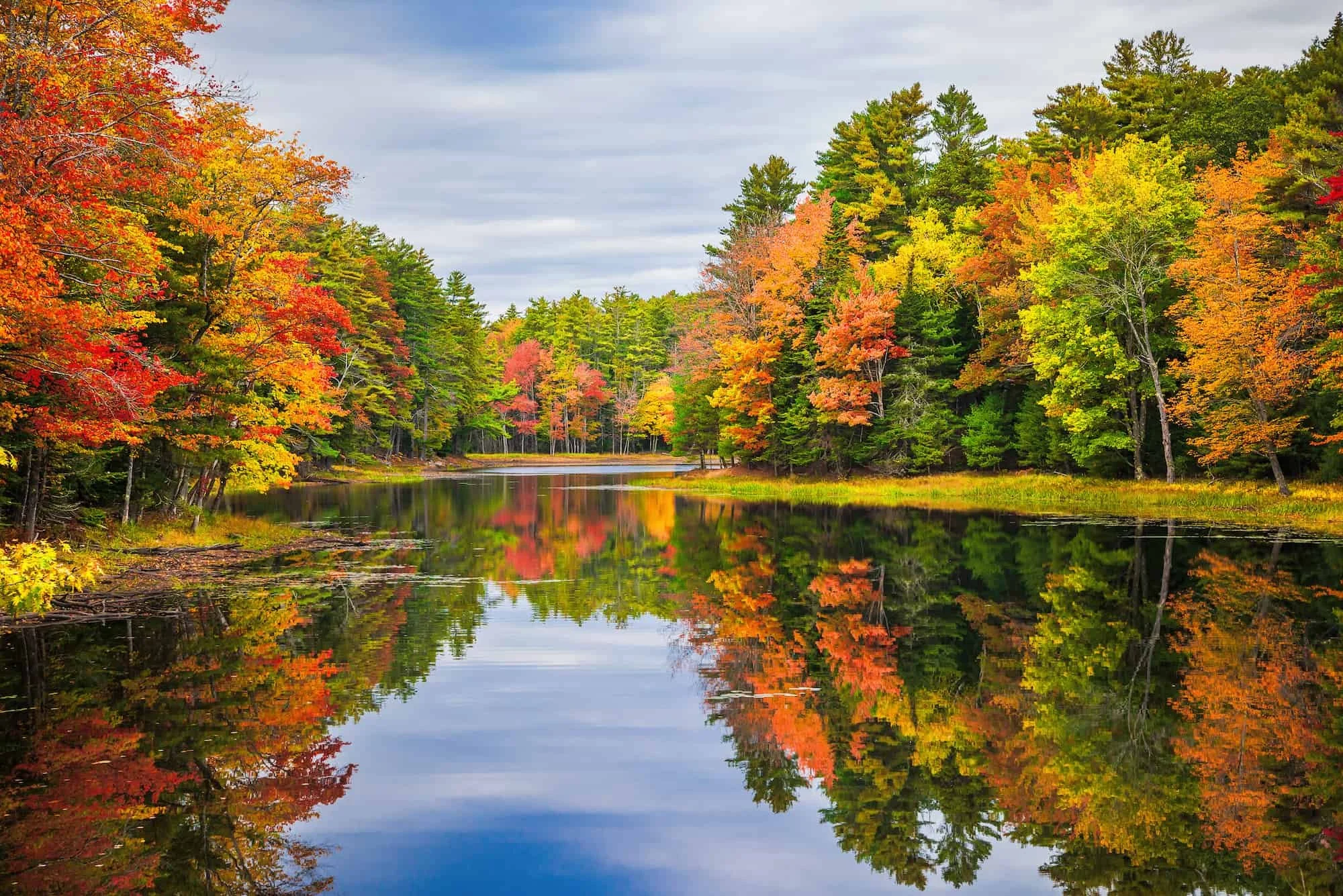 Pest control services in Sidney Maine