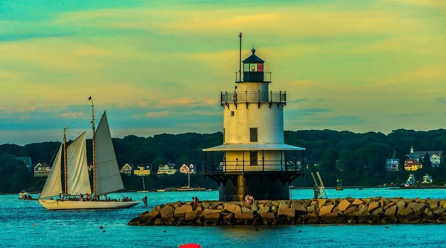 Pest control services in South Portland Maine