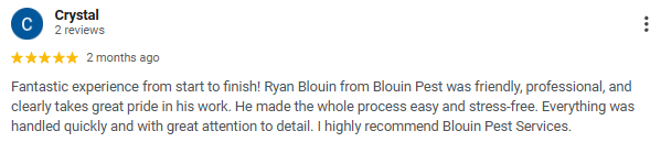 Screenshot of a Google review for Crystal, praising Ryan Blouin from Blouin Pest Services, highlighting professionalism and positive experience.