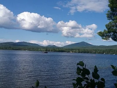 pest-control-temple-maine