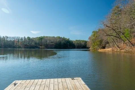 Pest control services in Falmouth Maine