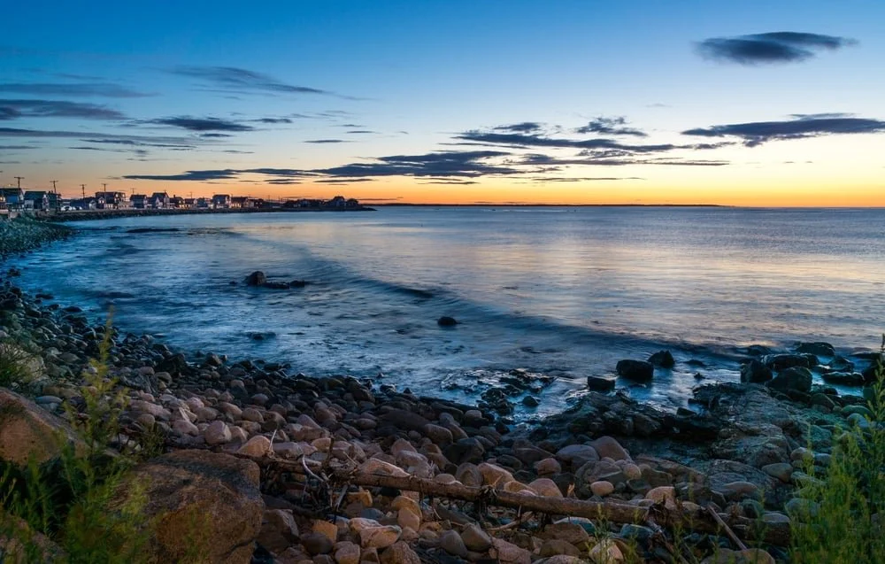 Blouin Pest Services providing pest control in Wells, Maine