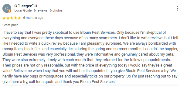 Google review for Blouin Pest Services, mentioning satisfaction with pest control and follow-up services.