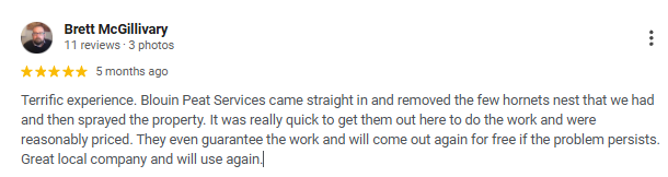 Screenshot of a Google review by Brett McGillivary praising local pest control services, mentioning hornet nest removal and quick, affordable work.