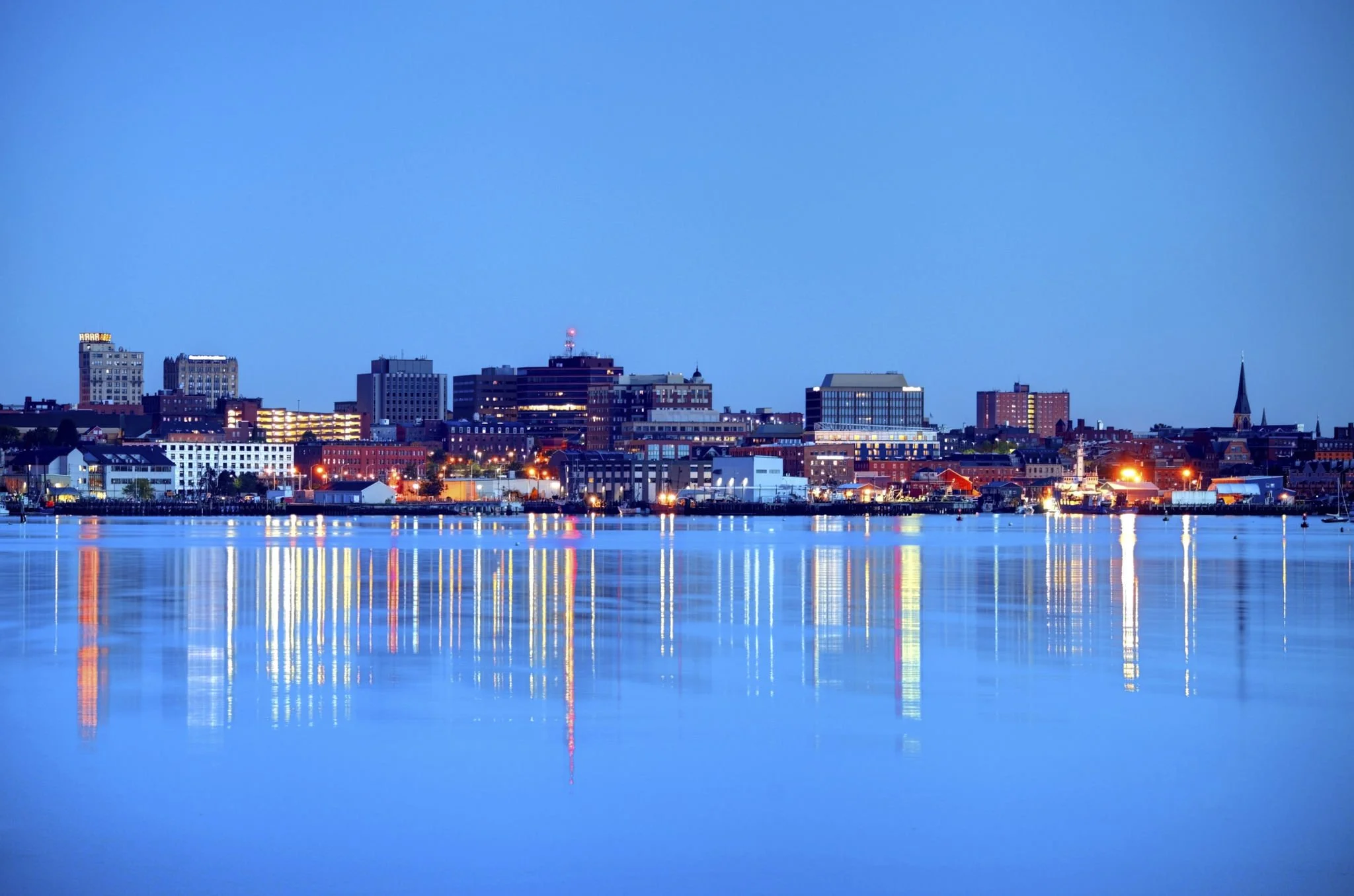 Pest control services in Portland Maine