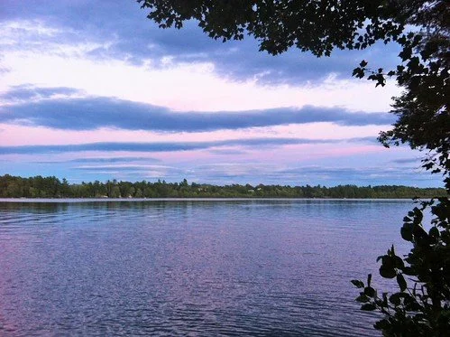 Pest control services in Monmouth Maine