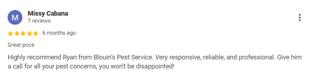 Screenshot of a Yelp review for Missy Cabana, rated five stars, praising Ryan from Blouin's Pest Service for being responsive and professional.