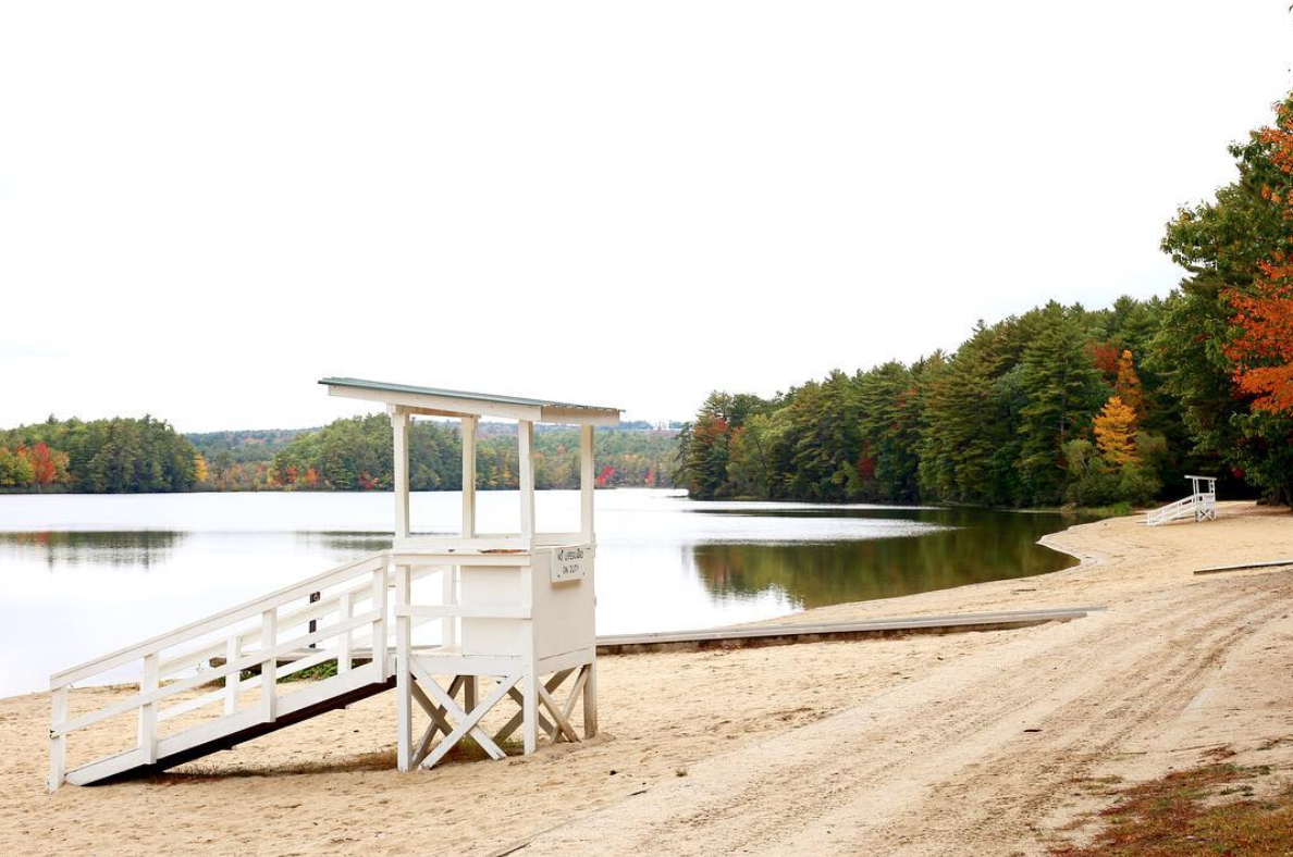 Pest control services in Poland Maine