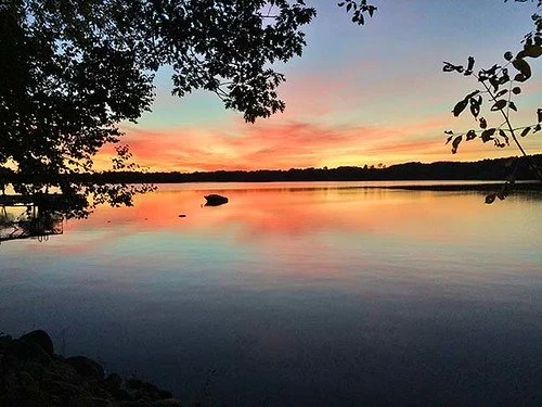 Pest control services in Vassalboro Maine