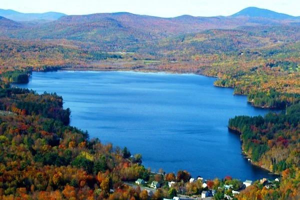 Pest control services in Avon Maine