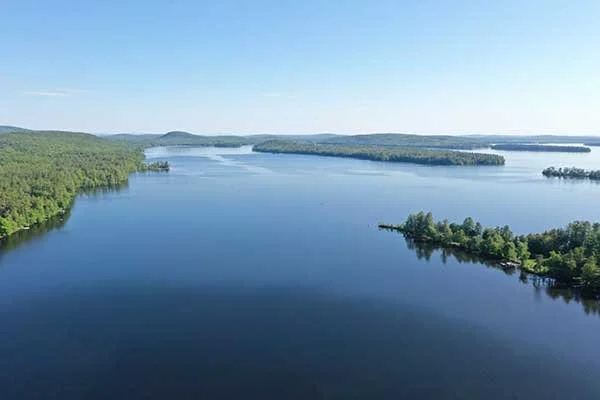 Pest control services in Belgrade Maine