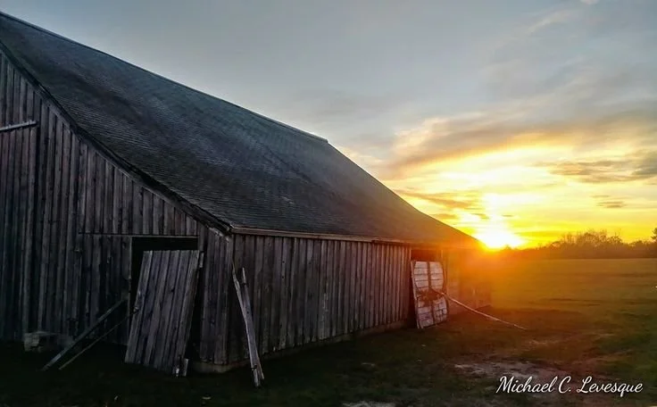 Pest control services in Minot Maine