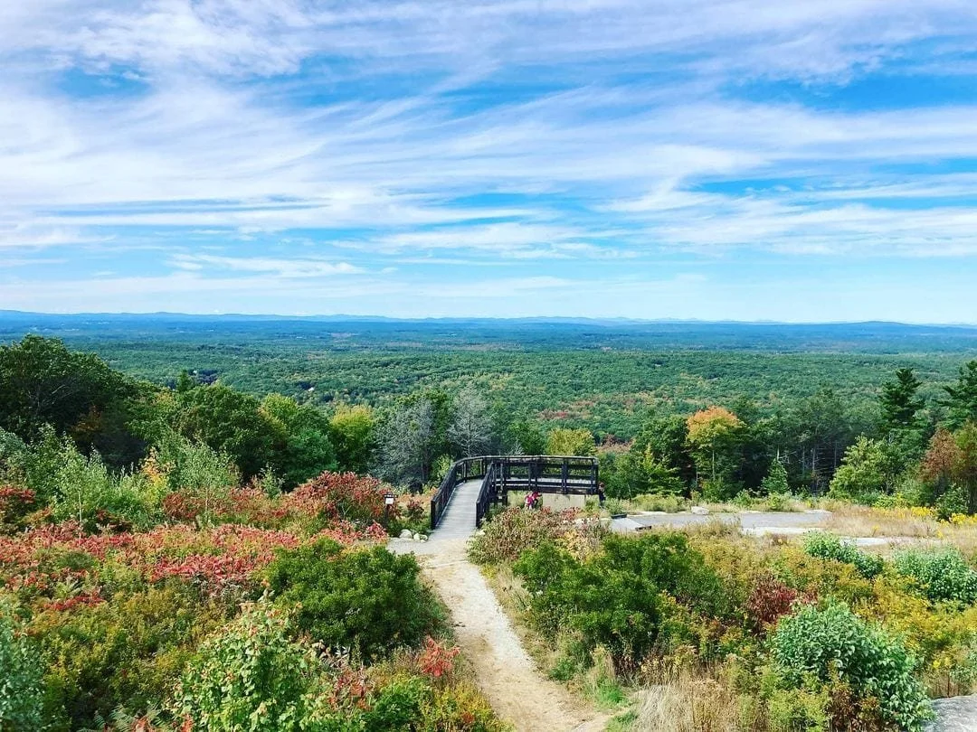 Blouin Pest Services providing pest control in Berwick, Maine