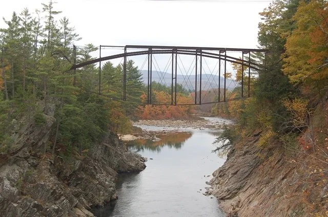 Pest control services in Livermore Falls Maine