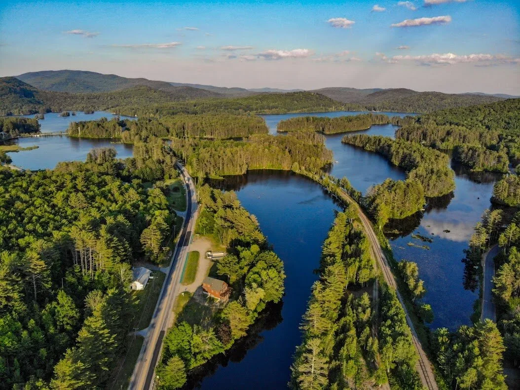 Pest control services in Woodstock Maine