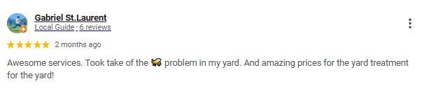Screenshot of a Google review by Gabriel St. Laurent praising yard treatment services, mentioning good prices and taking care of a bee problem.