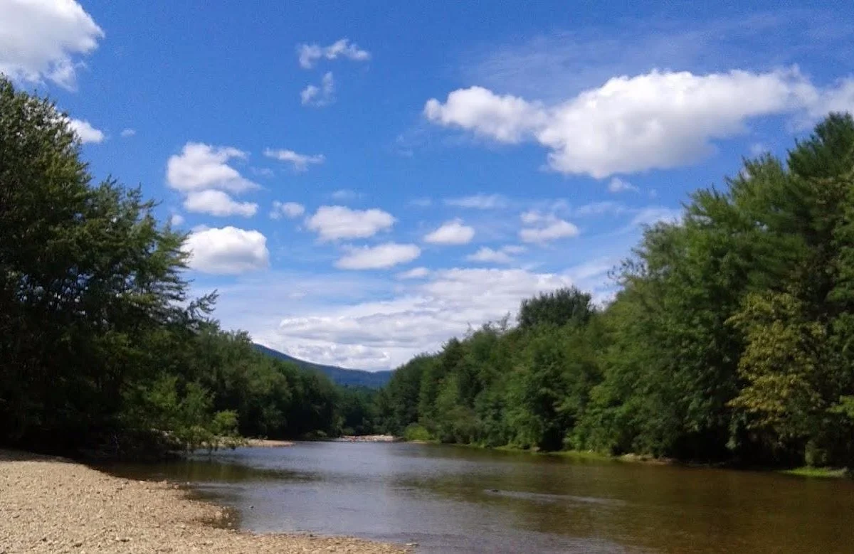 Pest control services in Fryeburg Maine