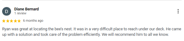 Screenshot of a Google review by Diane Bernard praising Ryan for locating a bee's nest and solving the issue efficiently.