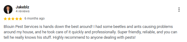 Screenshot of a positive review for Blouin Pest Services with 5-star rating, praising quick and professional pest control for beetles and ants.