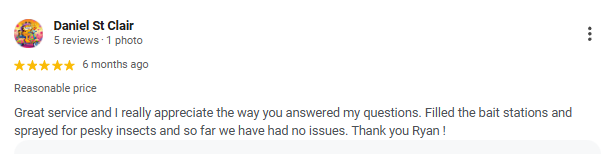 Screenshot of an online review from Daniel St Clair praising good service and insect prevention efforts.